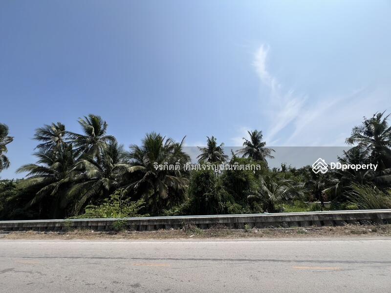 For Sale - Coconut plantation land, Ban Phaeo, Samut Sakhon, Samut Sakhon
