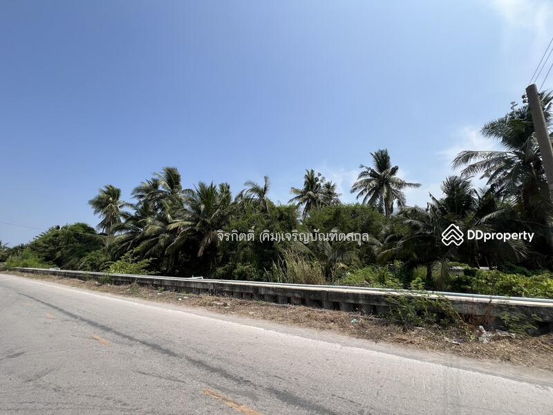 ขาย - ที่ดินสวนมะพร้าว บ้านแพ้ว สมุทรสาคร, สมุทรสาคร