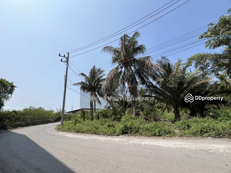 ขาย - ที่ดินสวนมะพร้าว บ้านแพ้ว สมุทรสาคร, สมุทรสาคร