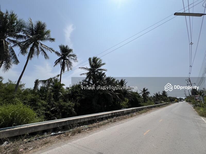 For Sale - Coconut plantation land, Ban Phaeo, Samut Sakhon, Samut Sakhon