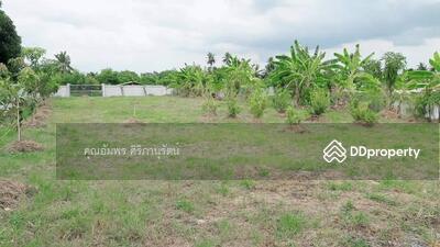 ขาย - ที่ดินพร้อมบ้านพักอาศัย 7 ไร่ บ้านแพ้ว สมุทรสาคร, สมุทรสาคร