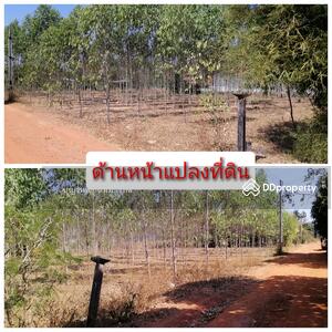 ขาย - ที่ดิน, ชลบุรี