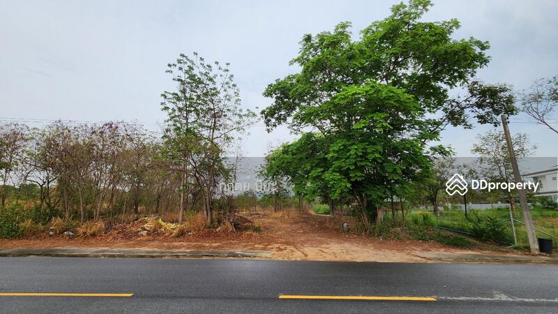 ปัญญา รีสอร์ท บางพระ, ชลบุรี, สุขุมวิท, บางพระ, ศรีราชา, ชลบุรี, 1,836 ตร.ม., ที่ดิน ขาย, โดย กฤตย์ ปิยะ, 11285634 - DDproperty.com