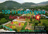 ที่ดินอู่ทอง 100 ตรว. ติดลาดยาง ทล.ชนบท 3018 โฉนด  น้ำ ไฟ เพื่อนบ้าน - DDproperty.com