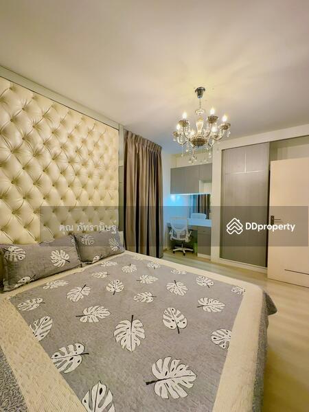 Chaiyaphruek Srinakharin : ชัยพฤกษ์ ศรีนครินทร์, สมุทรปราการ, ถนนทรัพย์พัฒนา, บางเมือง, เมืองสมุทรปราการ, สมุทรปราการ, 160 ตร.ม., บ้านเดี่ยว ให้เช่า, โดย คุณ ภัทรานิษฐ์, 11287308 - DDproperty.com