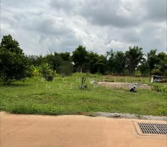 ขาย - ขายที่ดินท่าตูม 261 ตรว. ติดถนนบ้านโคกไม้แดงซอย2 ใกล้ถนนสี่เลนเส้น3079-170เมตร ใกล้นิคม304-5กม., ปราจีนบุรี
