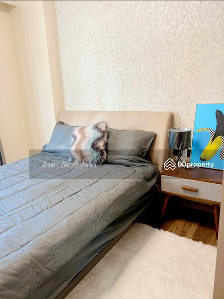 The one condo Chiang mai, Chiang Mai, San Sai Noi, San Sai, Chiang Mai, 1 Bedroom, 36 sqm, Condo For Rent, by Shori Asset Group Co., Ltd., 11288610 - DDproperty.com