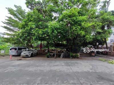 ขาย - ขายที่ดินรามคำแหง 42 ใกล้สถานีรถไฟฟ้า 800 M ใกล้เดอะมอลล์บางกะปิ ใกล้มหาวิทยาลัยรามคำแหง, กรุงเทพ