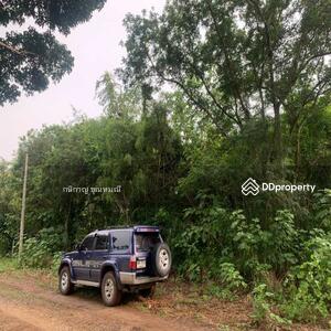 ขาย - ปากช่อง, นครราชสีมา