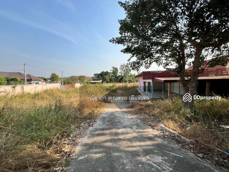 ใกล้อ่างเก็บน้ำมาบประชัน - โป่ง - พัทยา ตำบลโป่ง อำเภอบางละมุง จังหวัดชลบุรี 20150, ชลบุรี, ใกล้ขอบอ่างมาบประชัน - โป่ง, โป่ง, บางละมุง, ชลบุรี, 1,656 ตร.ม., ที่ดิน ขาย, โดย ณิชาภา (คุณดาว) เพียจันทร์, 11290691 - DDproperty.com