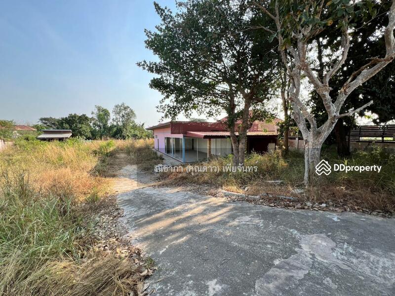 ใกล้อ่างเก็บน้ำมาบประชัน - โป่ง - พัทยา ตำบลโป่ง อำเภอบางละมุง จังหวัดชลบุรี 20150, Chon Buri (Pattaya), ใกล้ขอบอ่างมาบประชัน - โป่ง, Poong, Bang Lamung (Pattaya), Chon Buri (Pattaya), , 1,656 sqm, Land For Sale, by Nichapa Phiachan, 11290691 - DDproperty.com