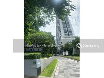 ขาย - The Tree Bang Po Station : เดอะ ทรี บางโพ สเตชั่น, กรุงเทพ