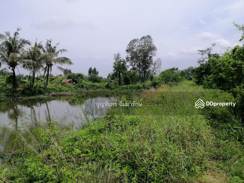 ขาย - ที่ดิน, ชลบุรี