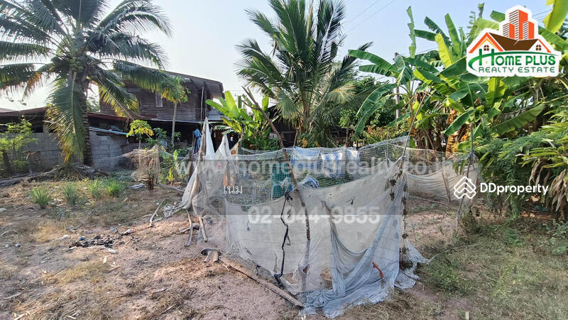 ขาย - ที่ดินใกล้โรงเรียนบ้านเก่าใหญ่โนนสะอาดตำบลสำโรง อำเภอนาเชือก มหาสารคาม เนื้อที่ 109 ตารางวา, มหาสารคาม