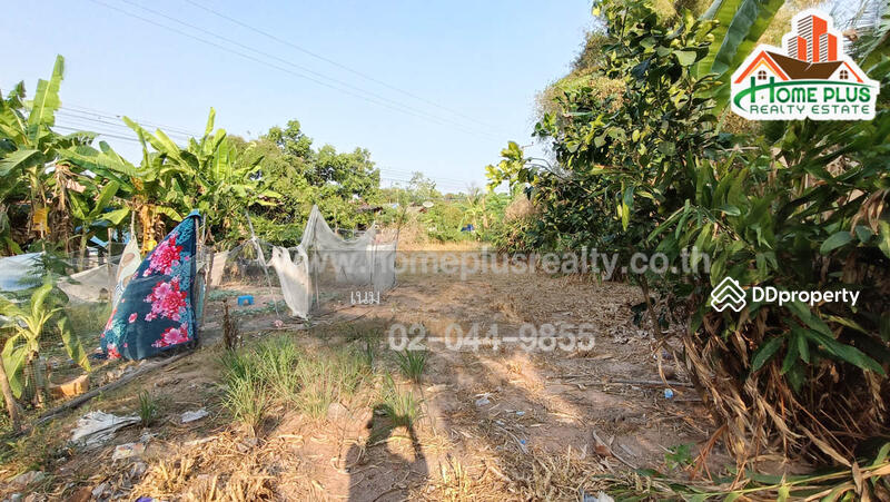 For Sale - ที่ดินใกล้โรงเรียนบ้านเก่าใหญ่โนนสะอาดตำบลสำโรง อำเภอนาเชือก มหาสารคาม เนื้อที่ 109 ตารางวา, Maha Sarakham