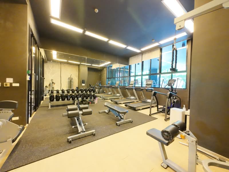 Noble Reveal, Bangkok, 36 Soi Sukhumvit 63, Ekamai Road, Phra Kanong Nua, Watthana, Bangkok, 1 Bedroom, 65 sqm, Condo For Rent, by Khun Nest, 11296330 - DDproperty.com