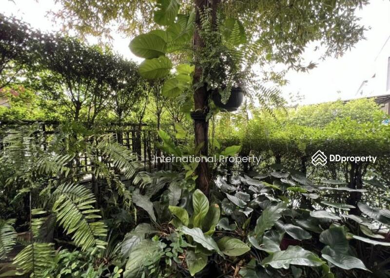 The City Ramintra : เดอะ ซิตี้ รามอินทรา, กรุงเทพ, ซอย 8 ถนน กาญจนาภิเษก 5/7, ท่าแร้ง, บางเขน, กรุงเทพ, 200 ตร.ม., บ้านเดี่ยว ขาย, โดย Next Step Property, 11297523 - DDproperty.com