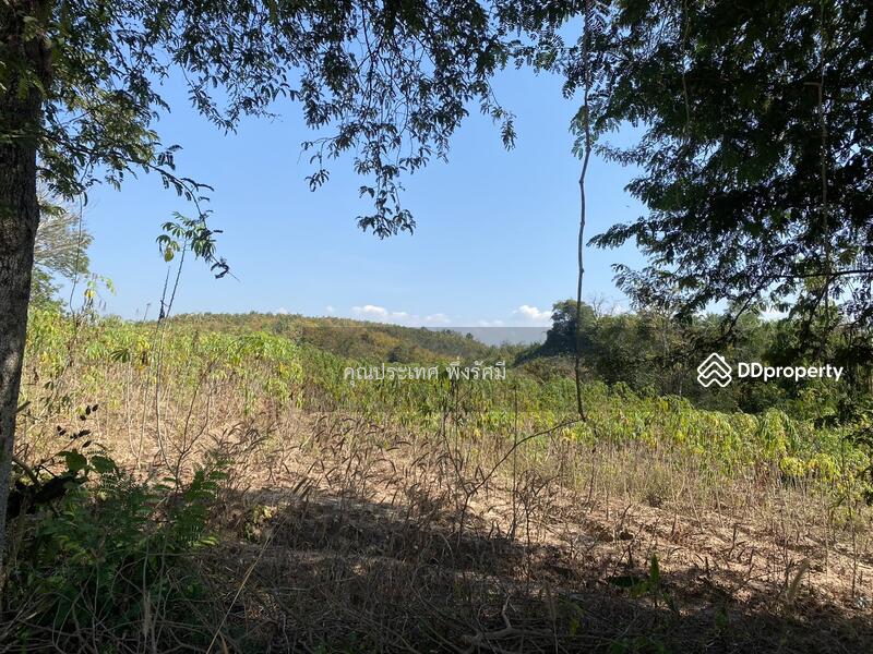 For Sale - พุน้ำร้อนหินดาด 34 ไร่, Kanchanaburi