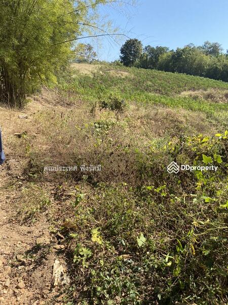 For Sale - พุน้ำร้อนหินดาด 34 ไร่, Kanchanaburi