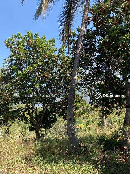 For Sale - พุน้ำร้อนหินดาด 34 ไร่, Kanchanaburi