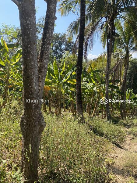 For Sale - พุน้ำร้อนหินดาด 34 ไร่, Kanchanaburi