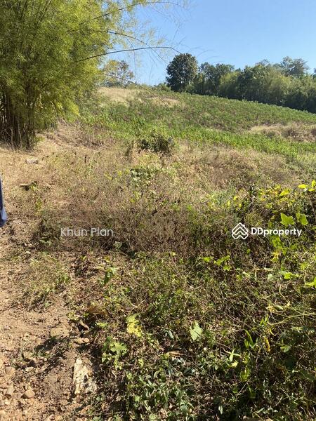 ขาย - พุน้ำร้อนหินดาด 34 ไร่, กาญจนบุรี