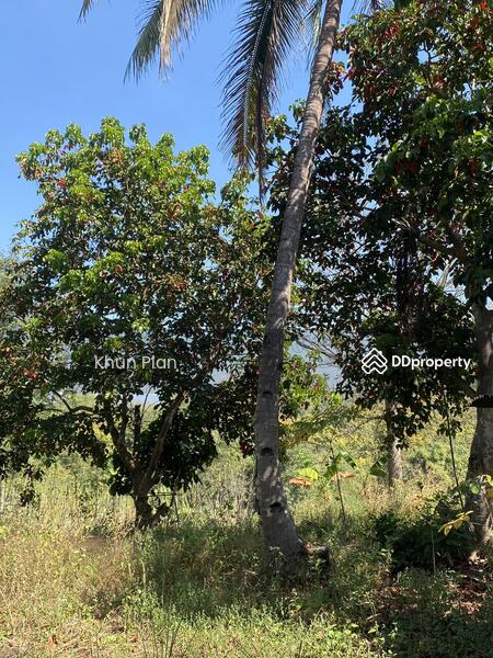 For Sale - พุน้ำร้อนหินดาด 34 ไร่, Kanchanaburi