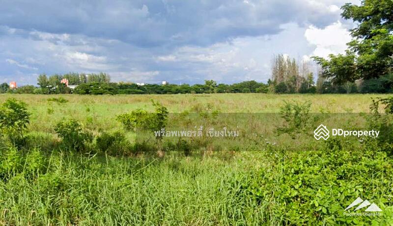 Residential Development Land For Sale On Super Hwy 11 In Saraphi, Chiang Mai, เชียงใหม่, ไชยสถาน, สารภี, เชียงใหม่, 377,026 ตร.ม., ที่ดิน ขาย, โดย เอลียาห์ ริดจ์ลี่ย์, 11298022 - DDproperty.com