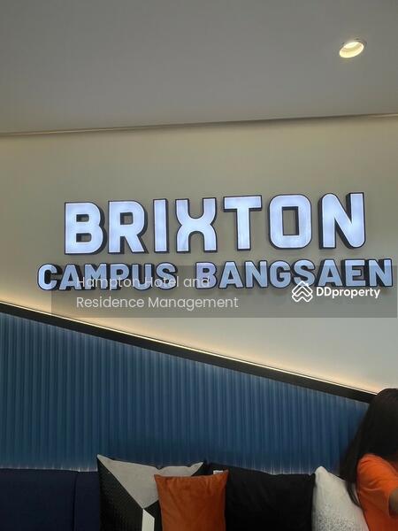 ให้เช่า - Brixton Campus Bangsaen : บริกซ์ตัน แคมปัส บางแสน, ชลบุรี