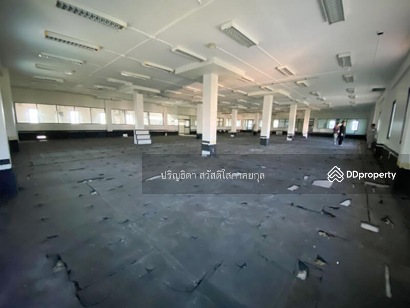 ขาย - อาคารสำนักงาน หาดใหญ่, สงขลา