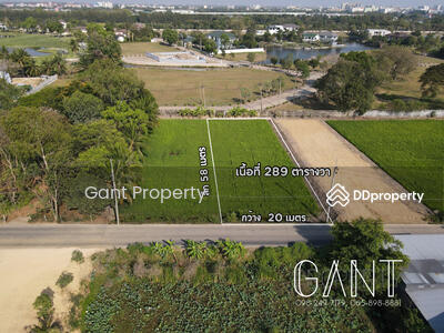 ขาย - ทีดิน 289วา หลัง RG Golf, นครปฐม