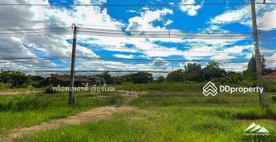 ขาย - ขายที่ดินบนซุปเปอร์ไฮเวย์ 11 ในสารภี เชียงใหม่, เชียงใหม่