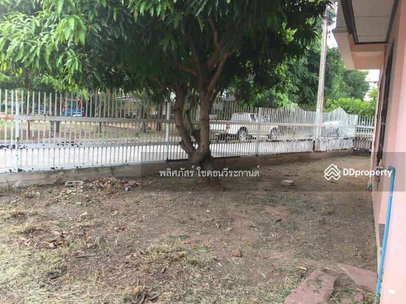 บ้านเช่า ตรงข้ามโกบอลเฮ้า ใกล้เซ็นทรัล, นครราชสีมา, จอหอ, เมืองนครราชสีมา, นครราชสีมา, 168 ตร.ม., บ้านเดี่ยว ให้เช่า, โดย พลิศภัสร์ โชคธนวีระกานต์, 11300039 - DDproperty.com