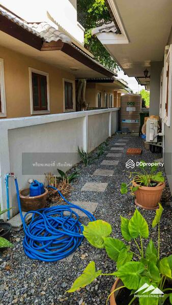 ขายบ้าน 4 ห้องนอนใกล้สนามบินในเมืองเชียงใหม่, เชียงใหม่, ป่าแดด, เมืองเชียงใหม่, เชียงใหม่, 350 ตร.ม., บ้านเดี่ยว ขาย, โดย เอลียาห์ ริดจ์ลี่ย์, 11300093 - DDproperty.com