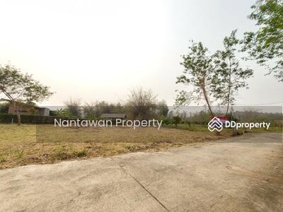 ขาย - ที่ดินเปล่าใกล้ รร.นานาชาติเปรมฯ แม่ริม เชียงใหม่, เชียงใหม่