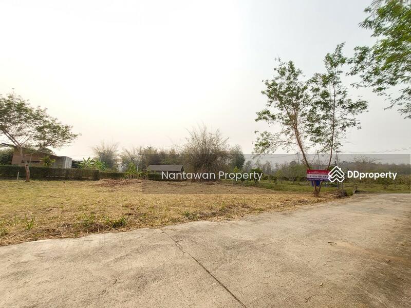 ขาย - ที่ดินเปล่าใกล้ รร.นานาชาติเปรมฯ แม่ริม เชียงใหม่, เชียงใหม่