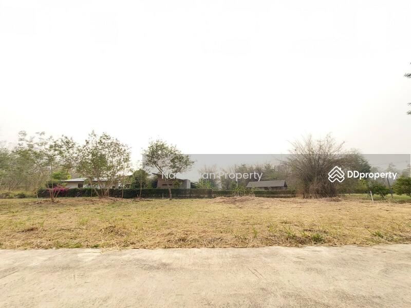 Land for sale 900m. from Prem Tinsulanonda International School, Chiang Mai, Huai Sai, Mae Rim, Chiang Mai, , 4,352 sqm, Land For Sale, by Nantawan Rattanapong, 11300137 - DDproperty.com
