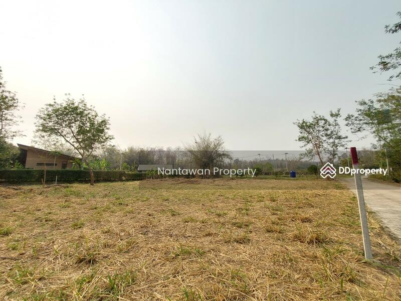 ขาย - ที่ดินเปล่าใกล้ รร.นานาชาติเปรมฯ แม่ริม เชียงใหม่, เชียงใหม่