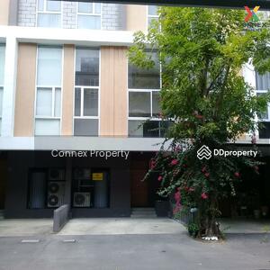 ขาย - Siamese Blossom @ Fashion : ไซมิส บลอสซั่ม แอท แฟชั่น, กรุงเทพ