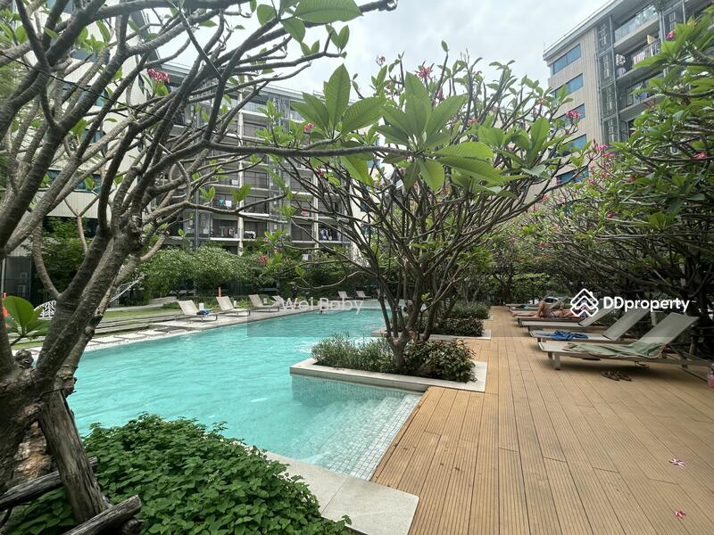 Blossom Condo @ Sathorn-Charoenrat, Bangkok, Charoen Rat Road, Thung Wat Don, Sathon, Bangkok, 1 Bedroom, 30 sqm, Condo For Rent, by Boby Wei, 11301035 - DDproperty.com