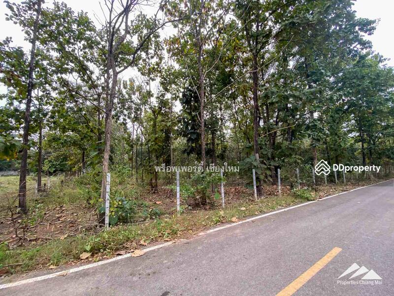 ขาย - ขายที่ดินในแม่ออน, เชียงใหม่
