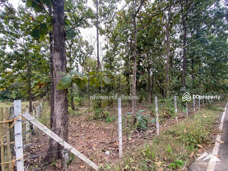 ขาย - ขายที่ดินในแม่ออน, เชียงใหม่