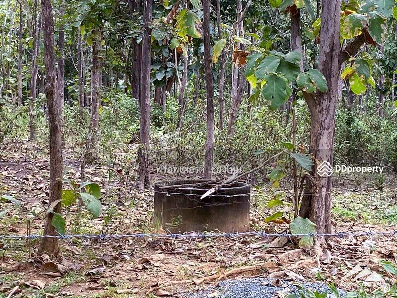 ขาย - ขายที่ดินในแม่ออน, เชียงใหม่