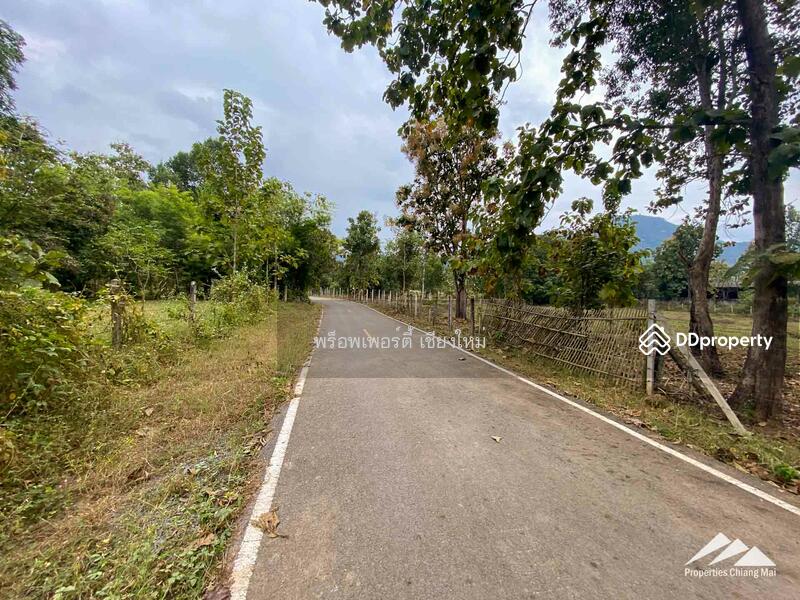 ขาย - ขายที่ดินในแม่ออน, เชียงใหม่