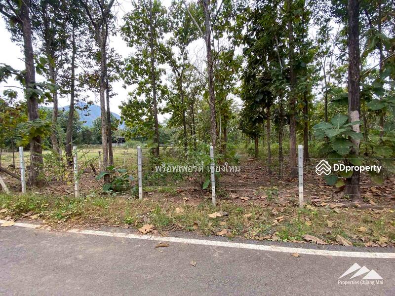 Land For Sale In Mae On, Chiang Mai, Mae On Klang, Mae On, Chiang Mai, , 280 sqm, Land For Sale, by Elijah Ridgley, 11301788 - DDproperty.com