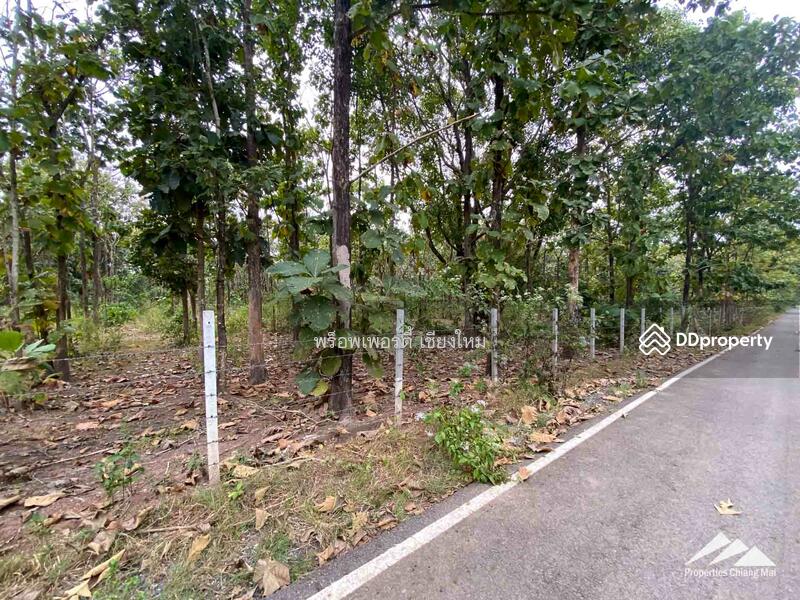 ขาย - ขายที่ดินในแม่ออน, เชียงใหม่