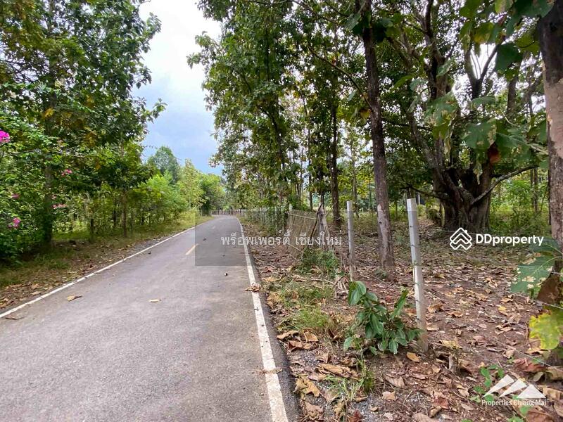 Land For Sale In Mae On, Chiang Mai, Mae On Klang, Mae On, Chiang Mai, , 280 sqm, Land For Sale, by Elijah Ridgley, 11301788 - DDproperty.com