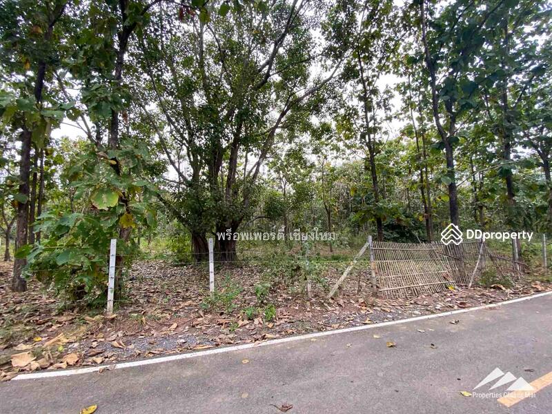 Land For Sale In Mae On, Chiang Mai, Mae On Klang, Mae On, Chiang Mai, , 280 sqm, Land For Sale, by Elijah Ridgley, 11301788 - DDproperty.com