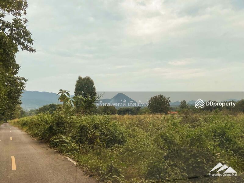 Land For Sale In Mae On, Chiang Mai, Mae On Klang, Mae On, Chiang Mai, , 280 sqm, Land For Sale, by Elijah Ridgley, 11301788 - DDproperty.com
