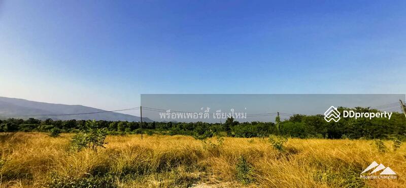 55 Rai Of Land For Sale 1km. From Ping River In Ban Hong, Lamphun, Nong Pla Sawai, Ban Hong, Lamphun, , 88,592 sqm, Land For Sale, by Elijah Ridgley, 11302158 - DDproperty.com